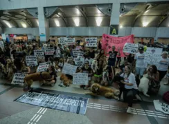 Imagem ilustrativa da imagem Tutores de animais de Salvador realizam manifestação em aeroporto